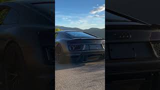 Audi R8 Ryft Titanium Exhaust  Revs [upl. by Kcirtap]