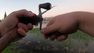 Late summer pond bass fishing [upl. by Elidad]