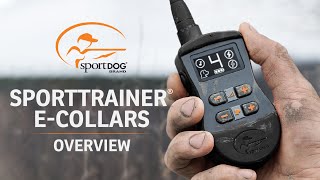 SportDOG Brand® SportTrainer® ECollars [upl. by Hannis]