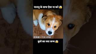 प्यारा कुत्ता और उसके पिछले जन्म की यादें 😱  short anime dog movie cartoon [upl. by Ynogoham]