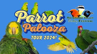 RGVBF Parrot Palooza 2024 [upl. by Adnorahc344]