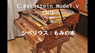 CBechstein ModelV 1901 シベリウス：もみの木 [upl. by Kowal]