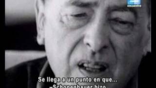 WITOLD GOMBROWICZ Y LA JUVENTUDwmv [upl. by Arteid]