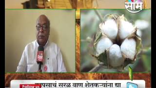 Provide straight line BT cotton seed to farmers Vijay Javandia [upl. by Rotceh]