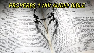 PROVERBS 1 NIV AUDIO BIBLEwith text [upl. by Artim]