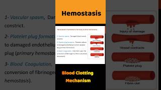 Blood Clotting  Blood Coagulation  hemostasis bloodclotting shortsfeed [upl. by Theresina]