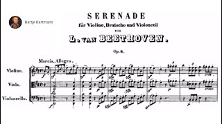 Beethoven  Serenade in D major Op 8 1797 [upl. by Acinad]