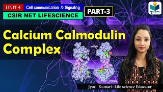 CALCIUMCALMODULIN COMPLEX GPCR PART3  CSIR NET  CELL SIGNALING [upl. by Amzu416]