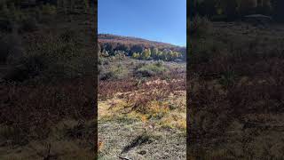 Uludağ teleferik birinci istasyon travel uludağ mountains [upl. by Llirrehs464]