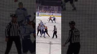 Fort Wayne Komets VS Jacksonville Icemen Brawl Part 2 [upl. by Clellan17]