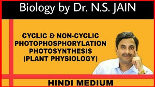 Cyclic amp Non Cyclic Photophosphorylation  Photosynthesis Plant Physiology Hindi Medium [upl. by Rimma262]