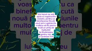 2 Corinteni 111  Versetul tău zilnic reel music fyp viral tiktok youtube christan Bible [upl. by Hewie917]