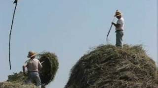 Haystack Building using Pitchforks [upl. by Crim]