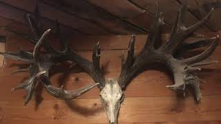 THE PERFECT SCORE ep3 antlers deerhunting canada usa [upl. by Lat]