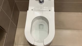 RARE Duravit Toilet viewersubmitted [upl. by Octavie]