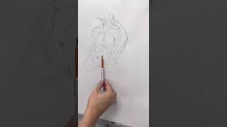 Joel Tideys Art Channel Drawing the torso [upl. by Asenav]