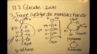 122c Glucides  Forme cyclique des monosaccharides [upl. by Anitserp]