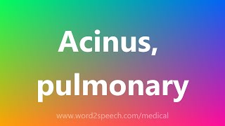 Acinus pulmonary  Medical Meaning [upl. by Solram]