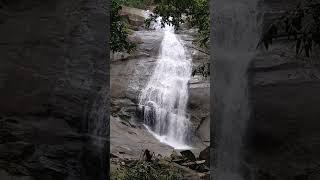 Thusharagiri Waterfalls 🌊💜💜 [upl. by Marela]