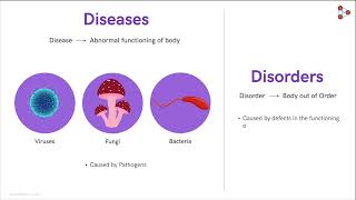 Types of Diseases  Infectious Diseases  Human Health and Diseases  Disorders [upl. by Latsirc]