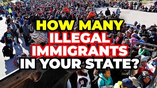 The Number of Illegal Immigrants in Every State in America [upl. by Aloisia748]