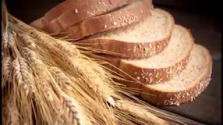 Growing Heritage Wheat at home Part 1 [upl. by Franklin119]