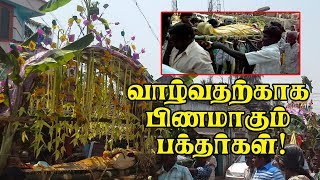 Valangaiman Mariamman Temple  வாழவேண்டி பிணமாகும் பக்தர்கள் [upl. by Giza]