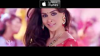 आला होळीचा सण लय भारी  Ala Holicha San  Holi Song  Lai Bhaari Riteish Genelia Radhika [upl. by Hollington]