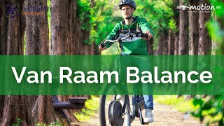 Van Raam Balance eBike Tiefeinsteiger Vorstellung 🚲 [upl. by Art]