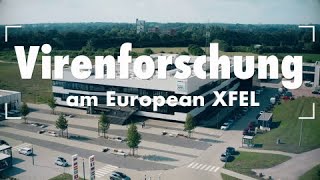 Virenforschung am European XFEL [upl. by Dannye]