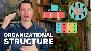 Organizational Structure [upl. by Bengt239]