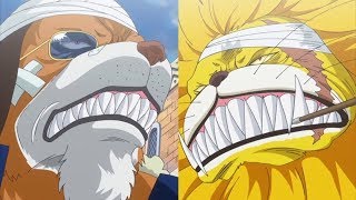 Pertarungan Nekomamushi vs Inuarashi  One Piece Moment [upl. by Etteinotna]