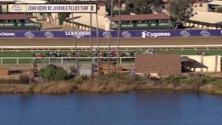 John Deere Breeders Cup Juvenile Fillies Turf G1 Carrera 8  1 de Noviembre 2024 [upl. by Ymma]