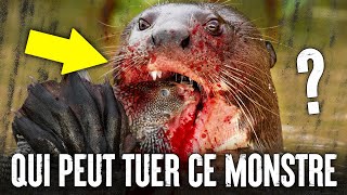 5 Animaux Qui Pourraient Vaincre Une LOUTRE GÉANTE [upl. by Nahbois]