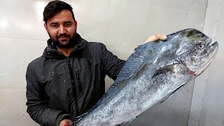 Mahi Mahi Fillet  How to cut mahi mahi Easy to do Dorado [upl. by Yordan673]