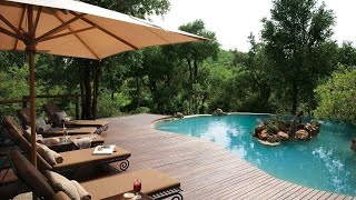 Impodimo Game Lodge Madikwe Game Reserve South Africa [upl. by Gowon]