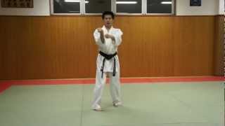 Karate purple belt kata demonstration [upl. by Marj]