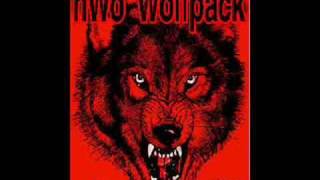 nwo wolfpac theme [upl. by Housum]