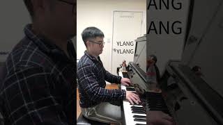 FKJ Ylang Ylang on Piano [upl. by Dnomde]