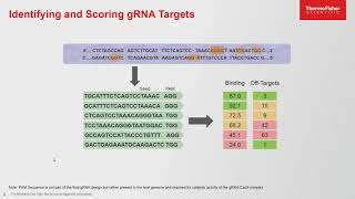 Simplified Online Tools for CRISPR Cas9 Gene Editing Design and Confirmation [upl. by Anabella]