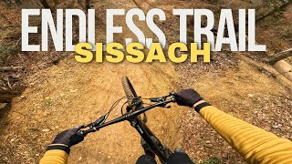 Den Endless Trail in Sissach unsicher machen  Mountainbike  Downhill [upl. by Ylrebnik358]