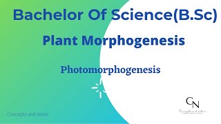 Photomorphogenesis  Phytochrome  Cryptochrome  Plant morphogenesis  For BSc students [upl. by Barbaraanne]