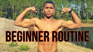 Beginner Home Calisthenics Full Body Routine [upl. by Hall804]