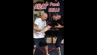 Silat Punch Drills Master SelfDefense Techniques [upl. by Liebermann737]