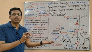 Cholinergic Drugs Part 04  Anticholinesterases Mechanism of Action and Site of Action [upl. by Carn]