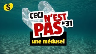 Ceci nest pas un méduse 31 [upl. by Frans]