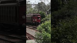 Steamrails Lilydale Shuttles 2024 [upl. by Randie]