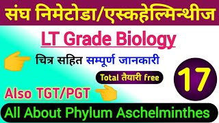 Phylum NematodaAschelminthes  lt grade biology classes  tgt biology online classes  pgt biology [upl. by Ginsburg]