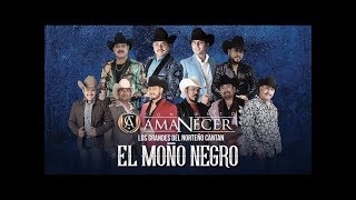 El Moño Negro Con Los Grandes de la Música Norteña  Conjunto Amanecer [upl. by Jacky]