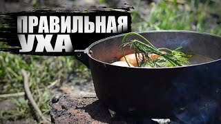 ПРАВИЛЬНАЯ УХА уха в казане на костре  как приготовить уху [upl. by Ashatan]